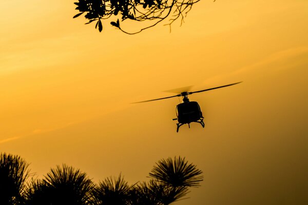 The silhouette of a helicopter at a yellow sunset