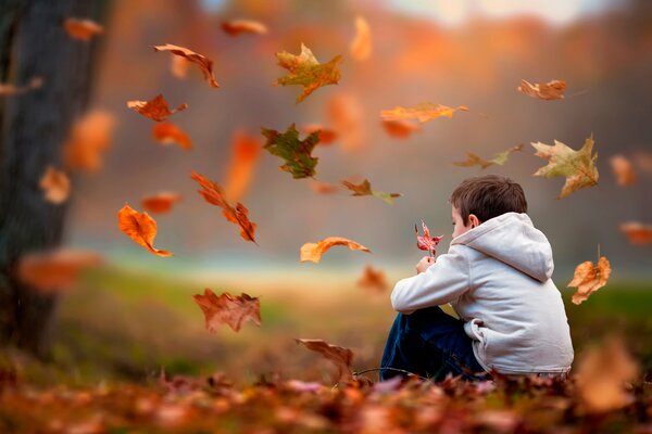 Junge auf dem Hintergrund der fallenden Blätter im Herbstwald