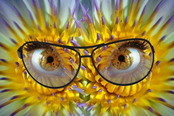Brille in schwarzem Rahmen mit transparenten Gläsern. Augen. Gelbe Blumen. Pupillenzifferblatt