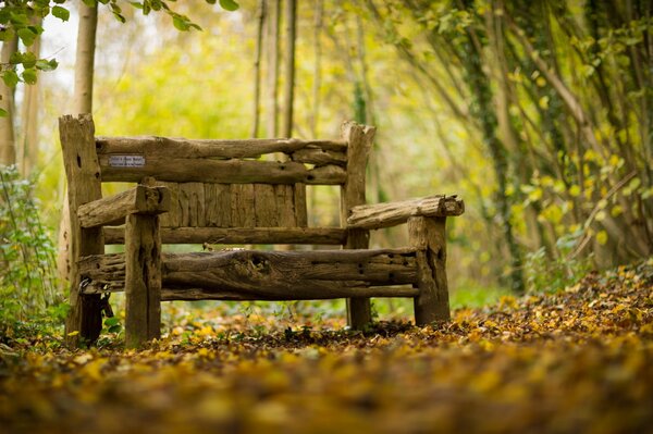 An old shop on the background of an autumn forest