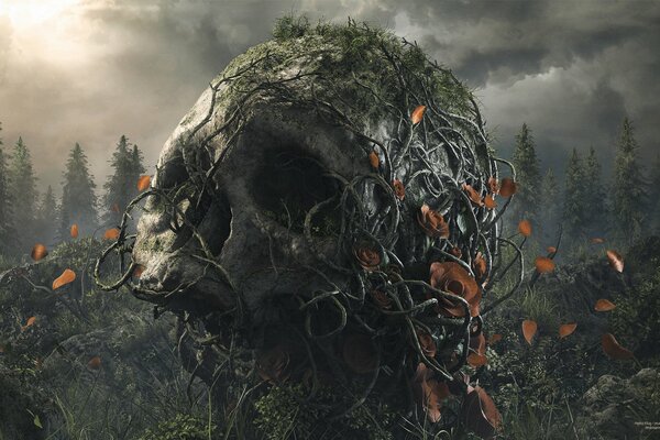 Cráneo humano envuelto en raíces de árboles
