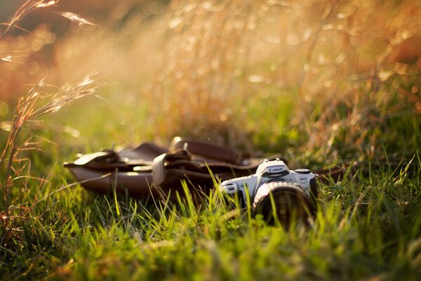 Kenon camera with a bag in the green grass