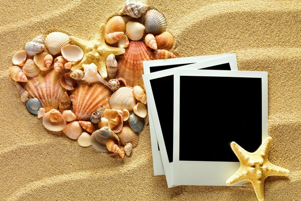 Photo frames on the background of sand and shells