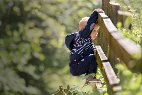 Petit garçon a grimpé sur la clôture