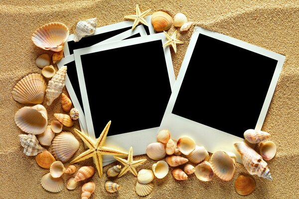 Image de cadres photo noirs sur fond de sable de mer et de coquillages