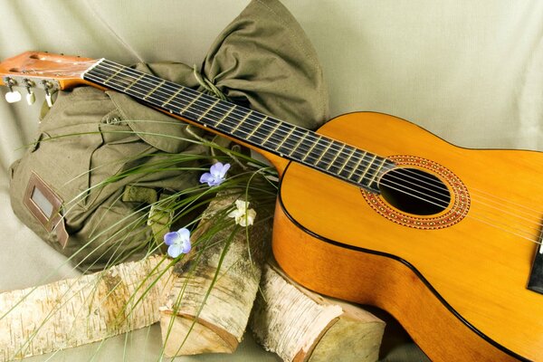 Bodegón de guitarra con flores y troncos
