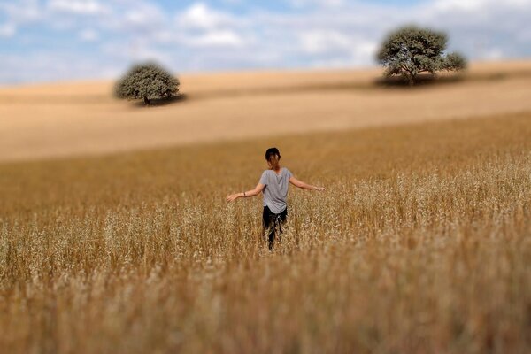 Chica en un campo de trigo en el fondo del cielo azul