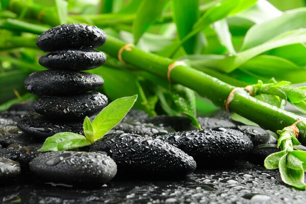 Drops of water or dew on black stones