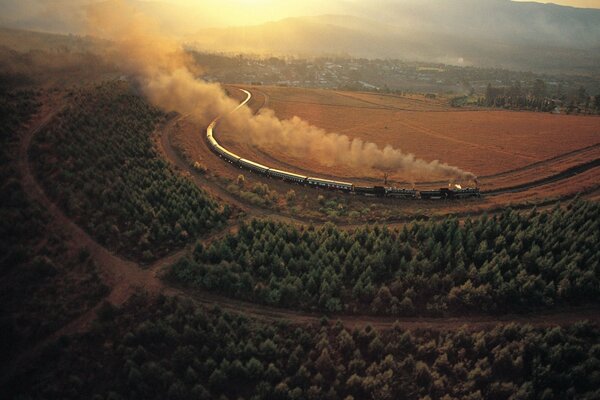 Chemin de fer longeant les arbres