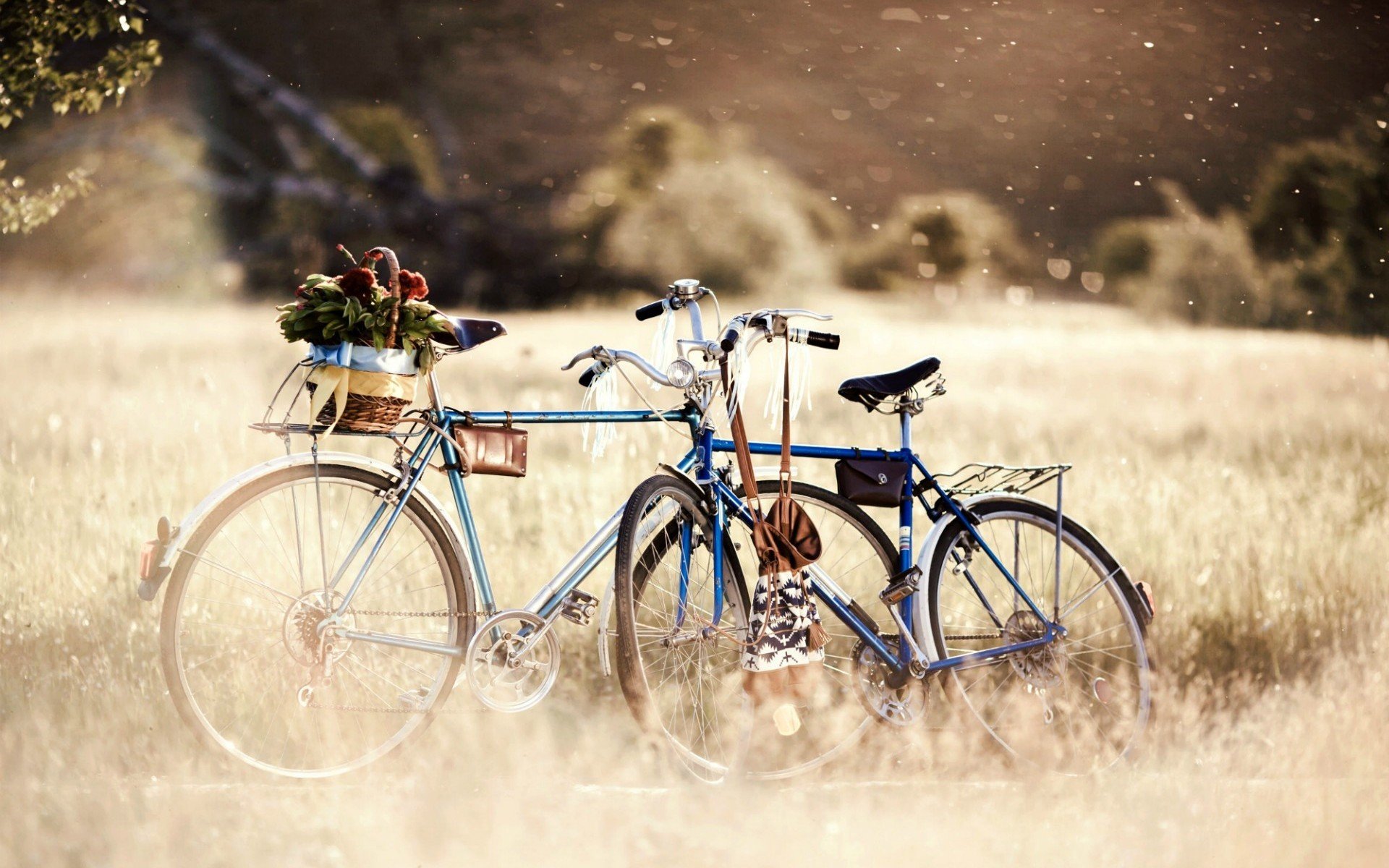 sonstiges stimmungen fahrrad groß fahrräder korb blumen blumen räder pflanzen natur gras grün tag bokeh bäume unschärfe hintergrund tapete widescreen vollbild widescreen