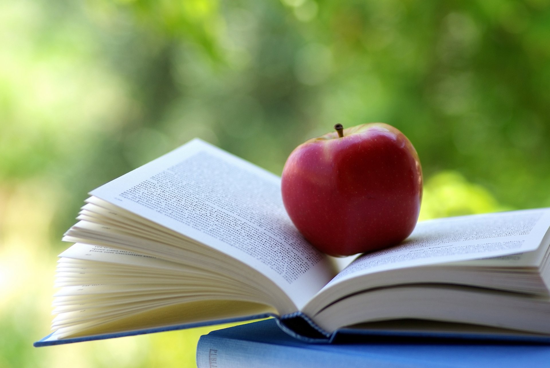 book item fruits reading apple