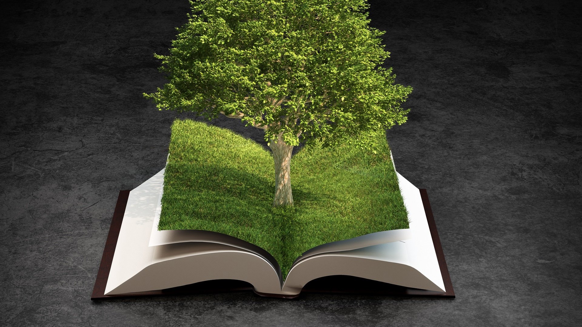 grass book sheets pages tree green