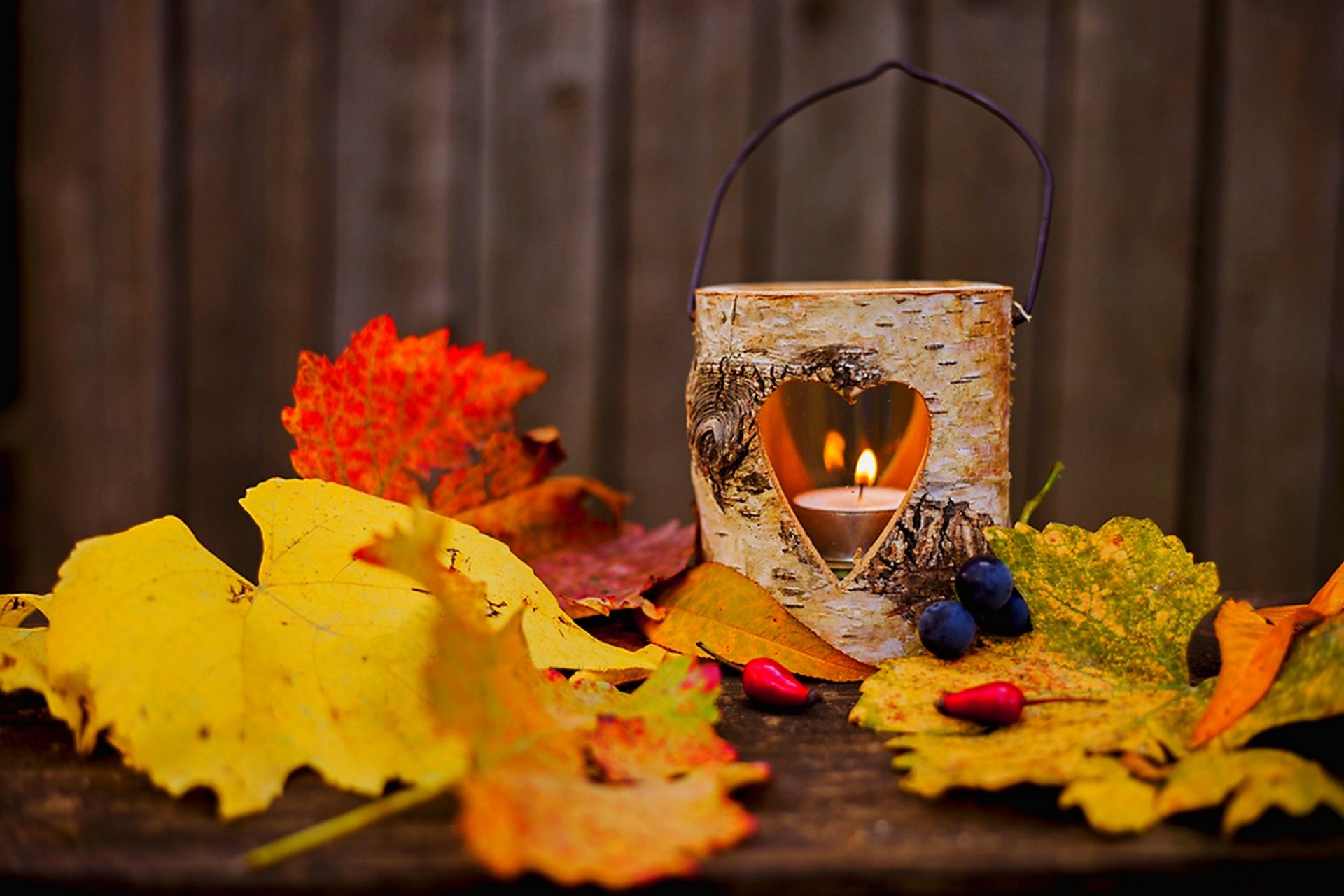 automne feuilles flamme bougie lanterne lampe amour bougie lampe coeur