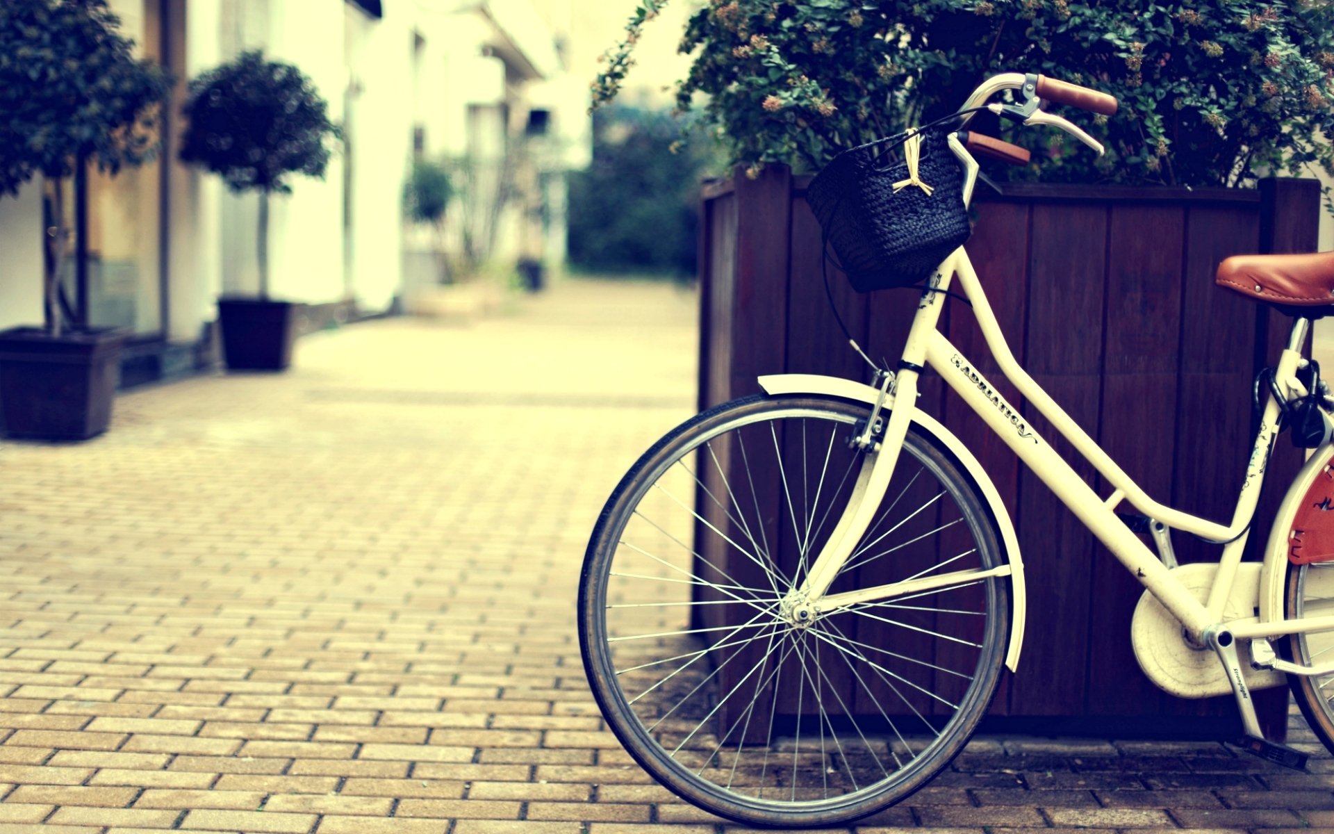 varie bicicletta strada città cestino cestino ruota pianta fiori fiore sfondo carta da parati widescreen schermo intero widescreen widescreen