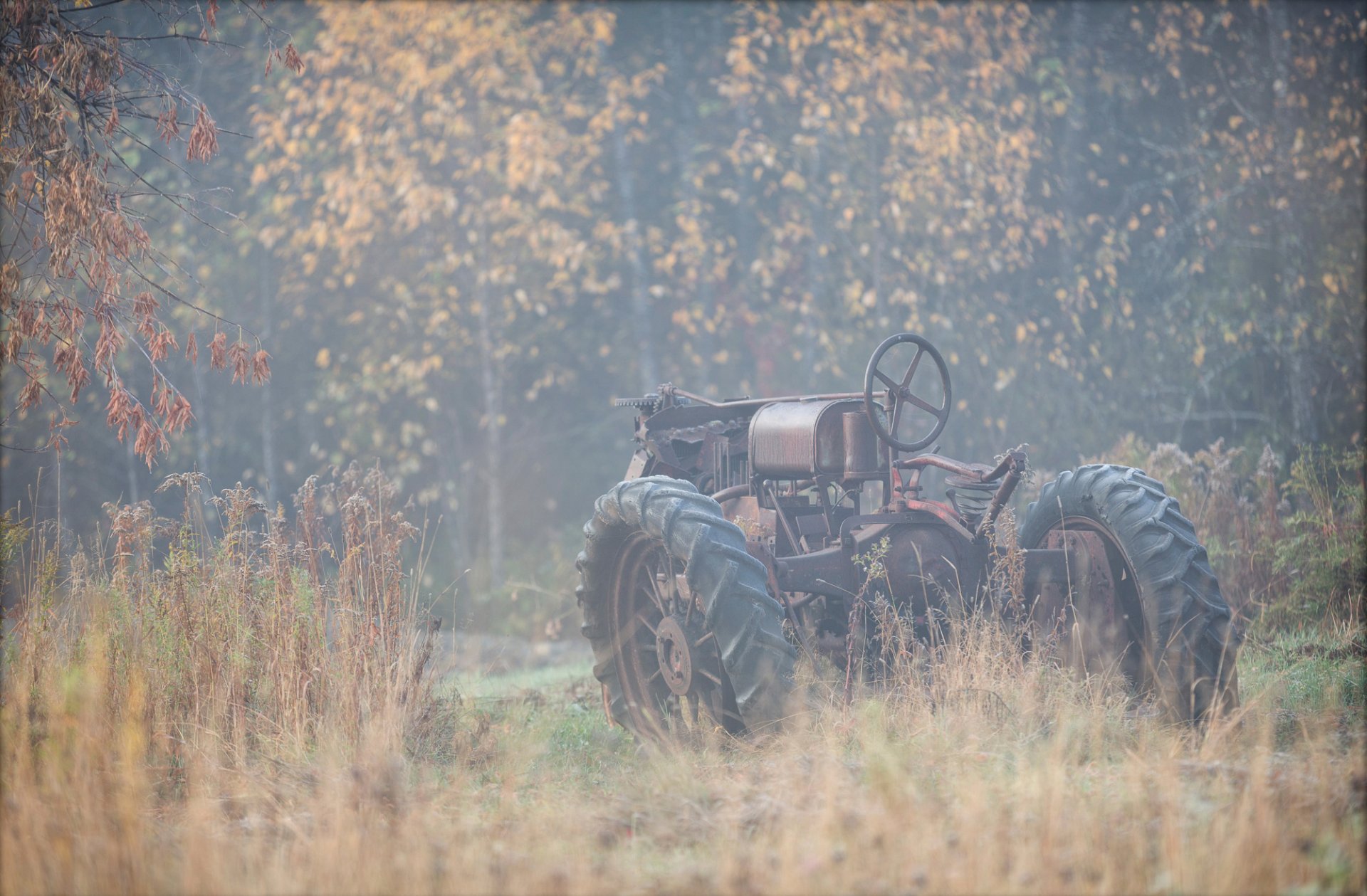 ciągnik jesień natura mgła