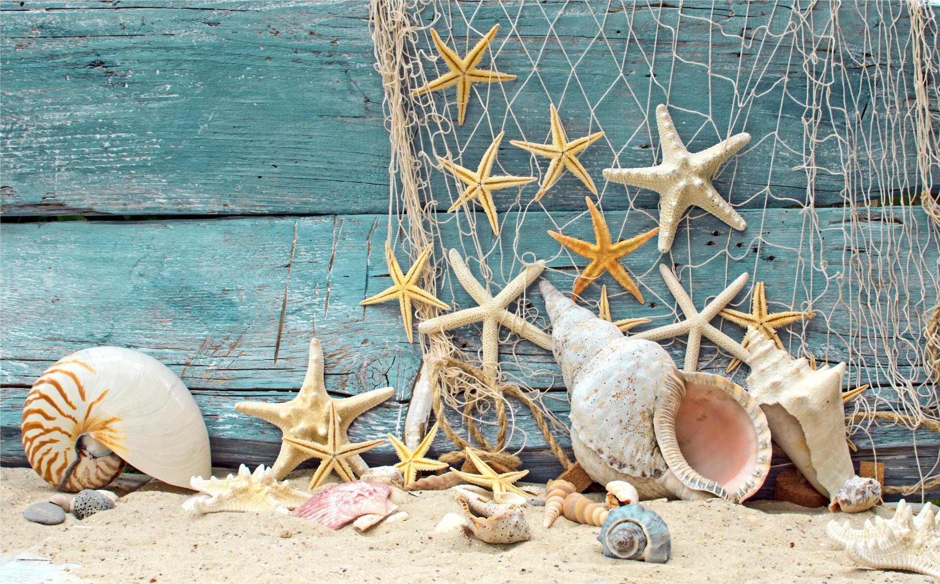 hells stars net wood marine sand beach net pebble