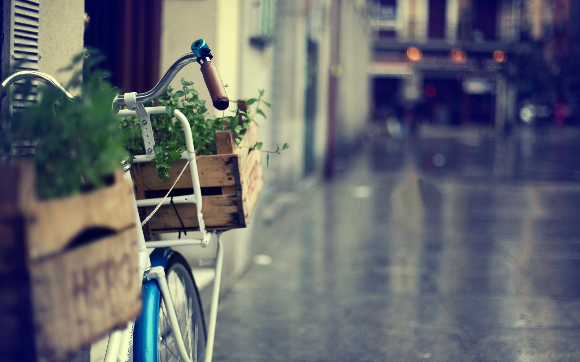 varios cesta cesta bicicleta bicicleta flores hierba vegetación ciudad calle desenfoque fondo papel pintado pantalla ancha pantalla completa pantalla ancha