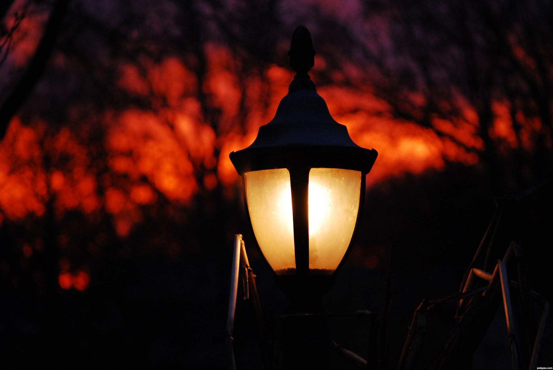 lampe soirée arbres ciel parc