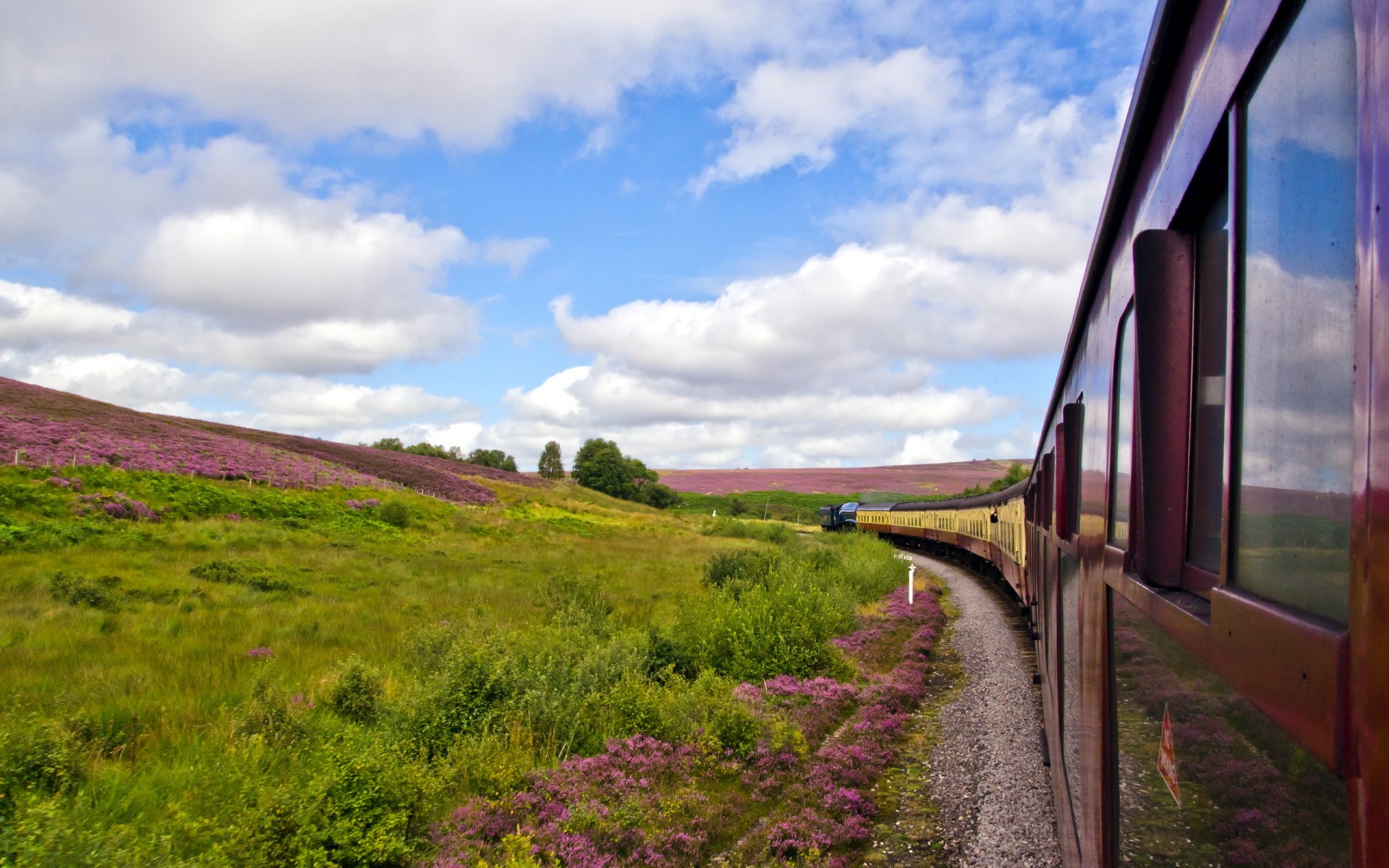 train railroad the field summer