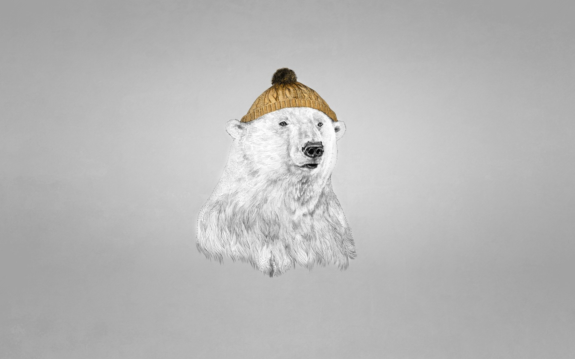 polar bear hat dusky background bear