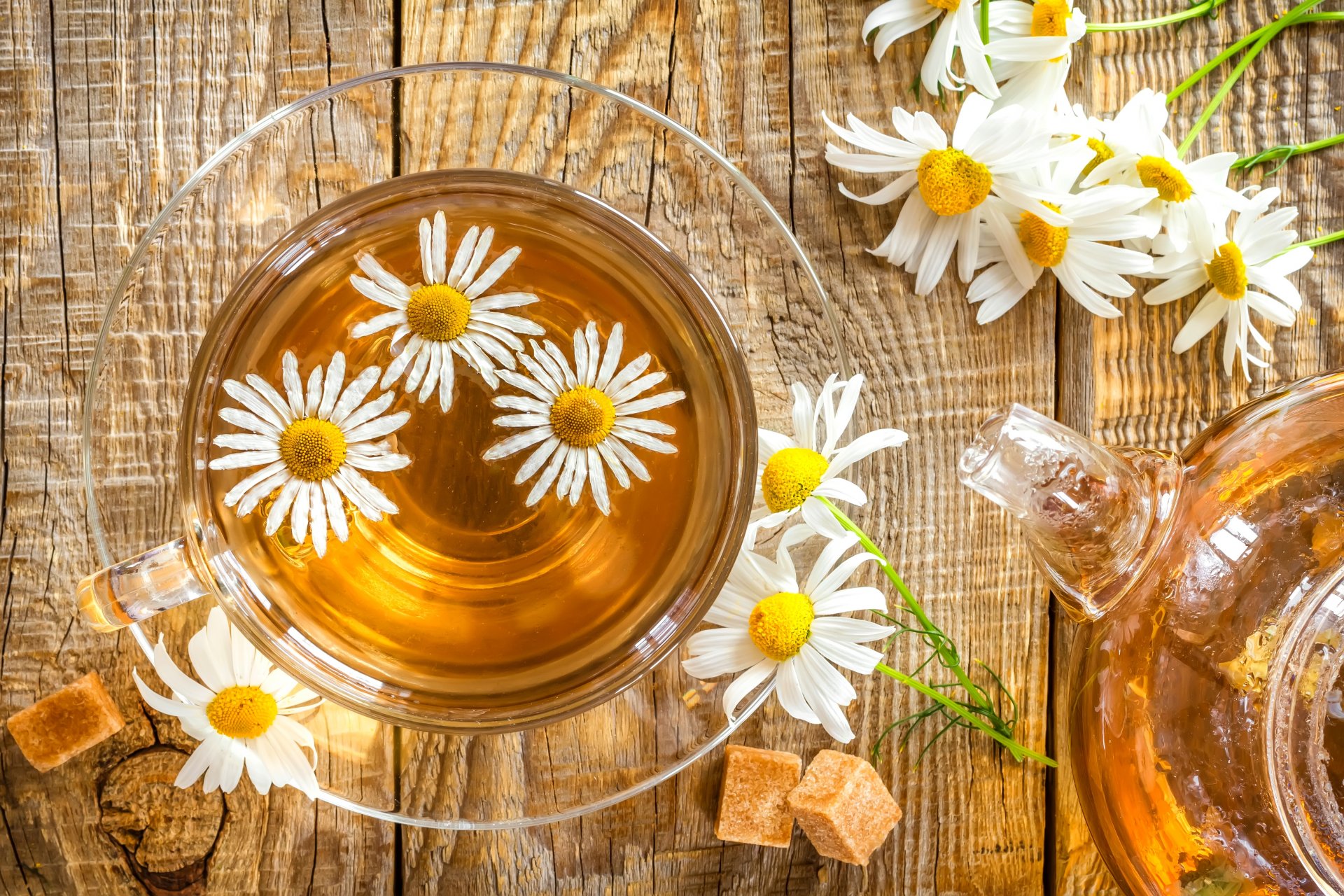 platillo taza té bebida flor manzanilla beber