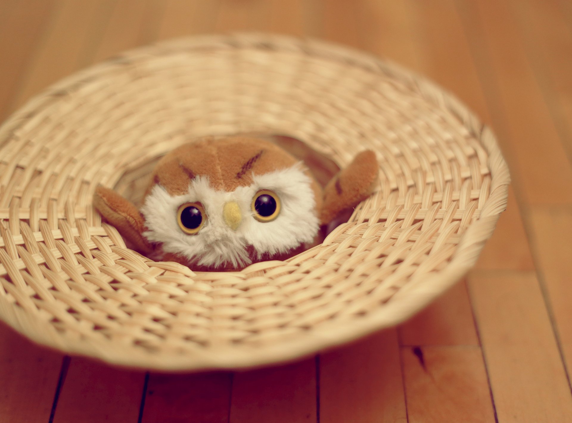 hibou jouet doux yeux