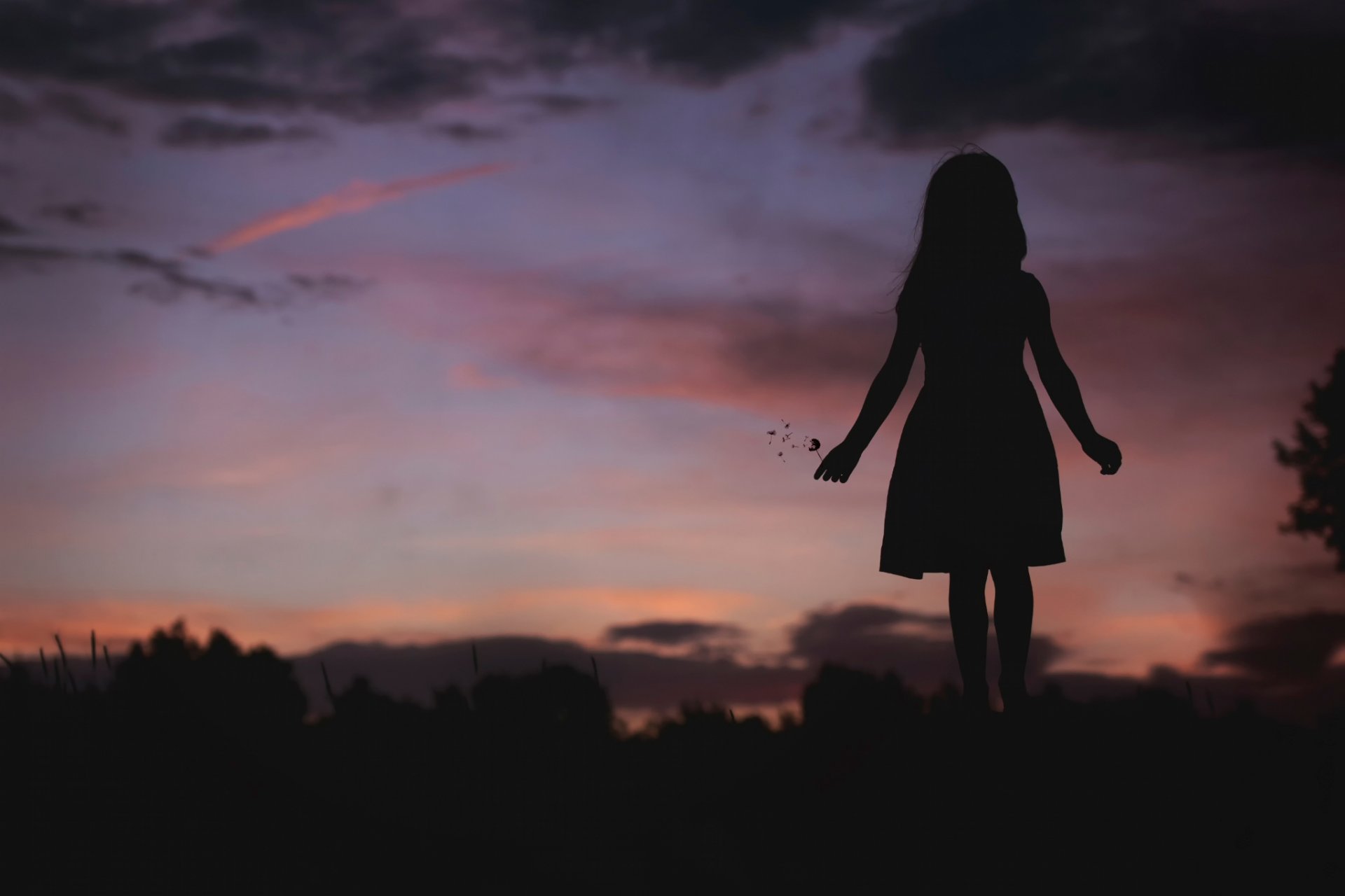 girl silhouette dandelion twilight