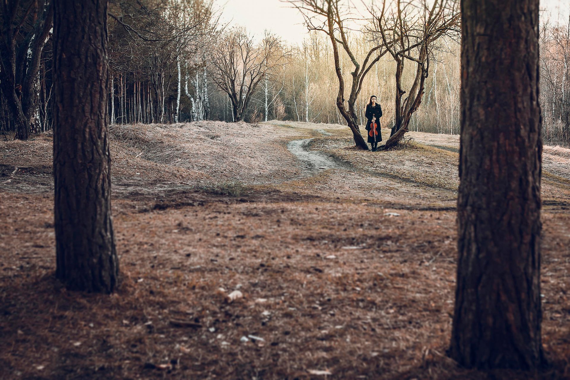 wald mädchen bratsche einsamkeit