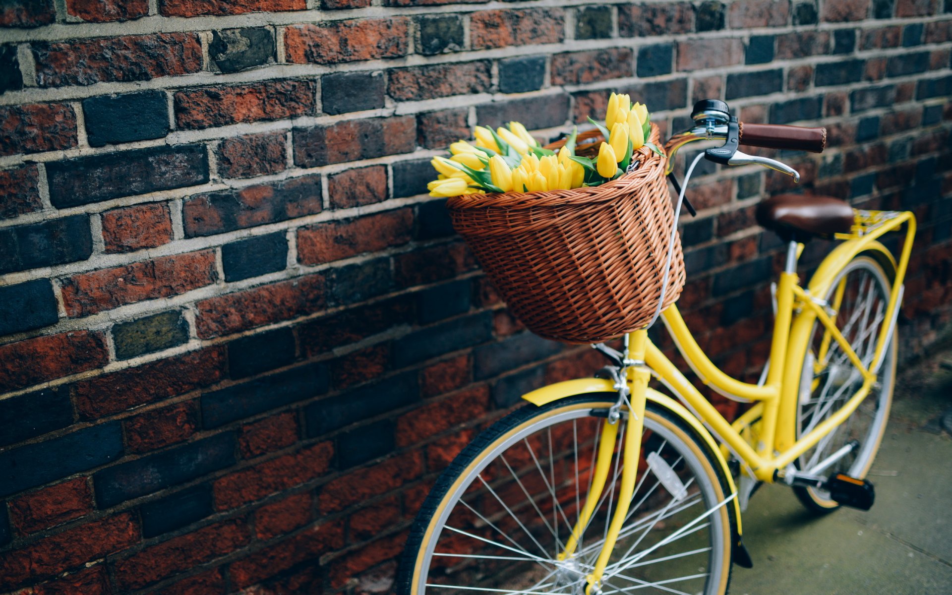 bicicleta flores tulipanes