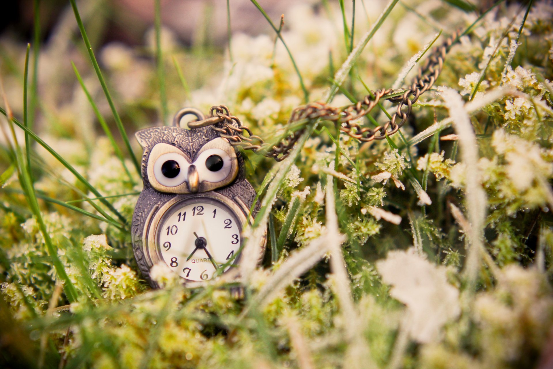 owl watches pendant suspension grass green close up