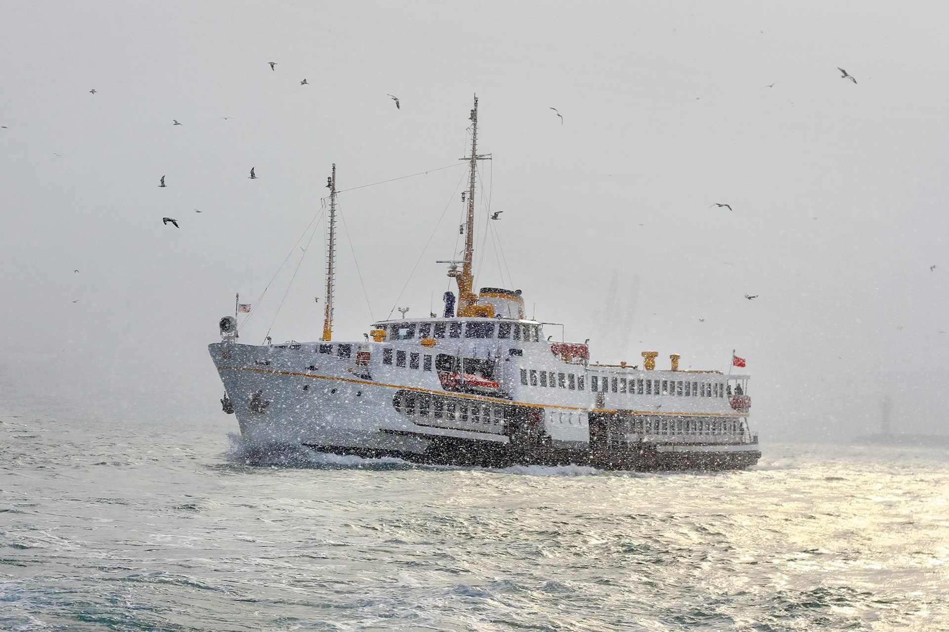 istanbul türkei fähre schiff bosporus meer winter natur segelboot fähre bosporus meer winter