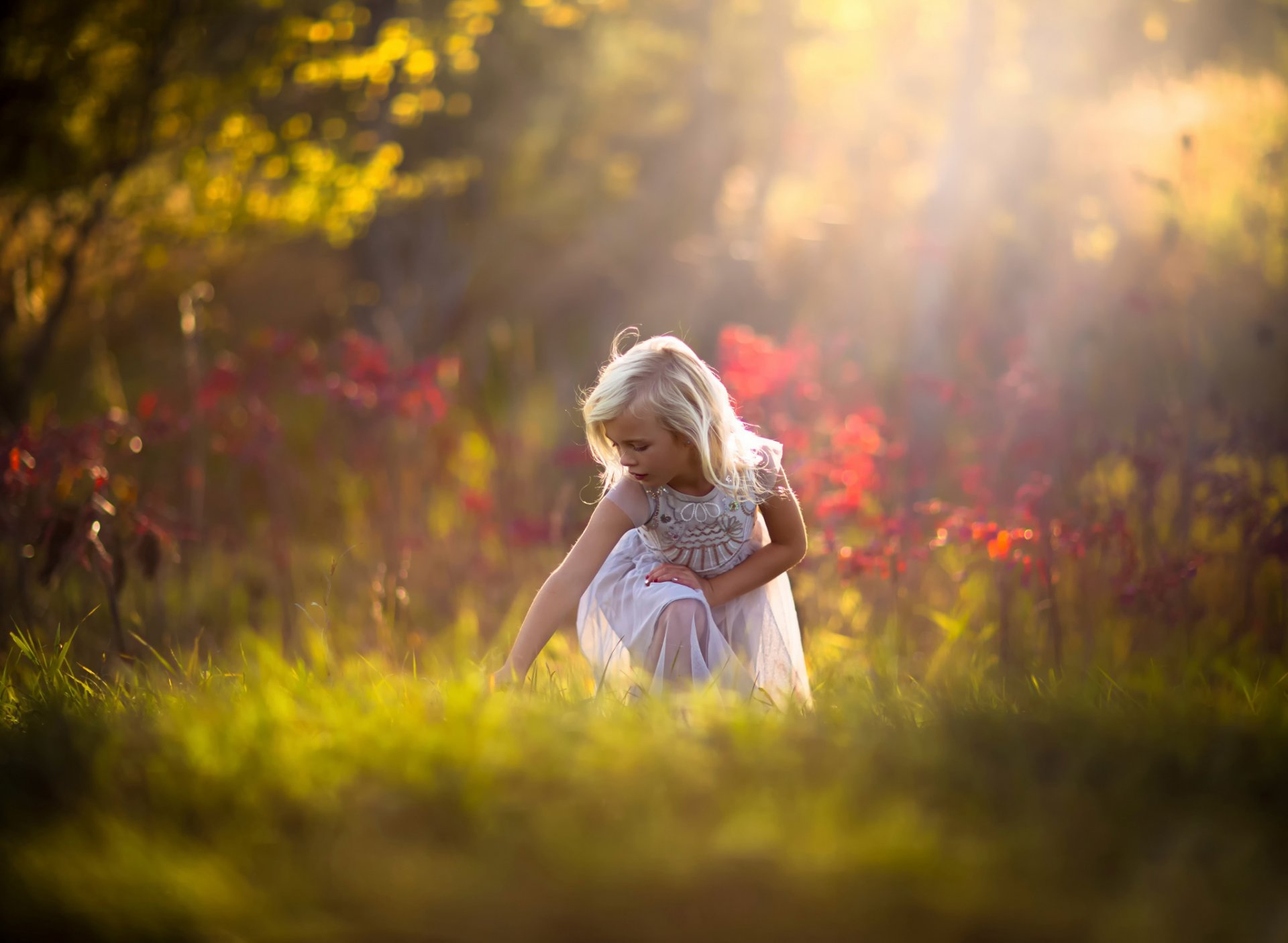 girl blonde forest autumn