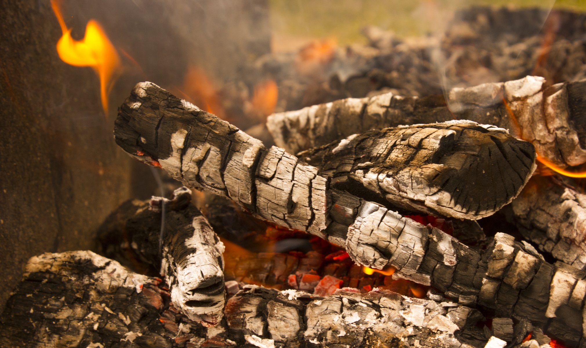 feu nature brochettes campagne bois de chauffage