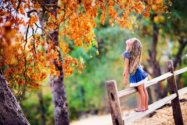 A girl at the fence against the background of yellow foliage