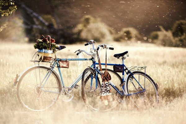 Two bicycles in a field with a basket of flowers