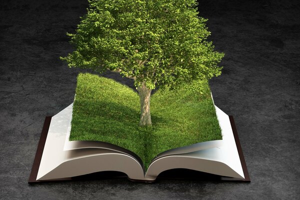 A tree peeked out of the pages of the book