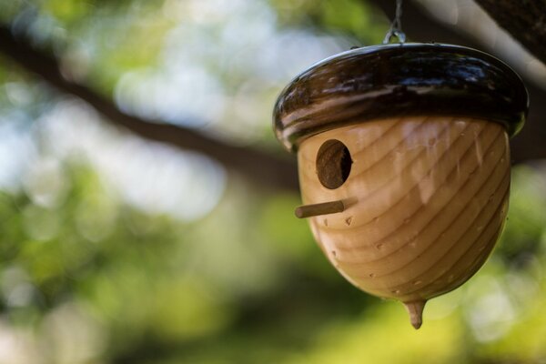 Hölzerne Feeder auf dem Hintergrund der Natur