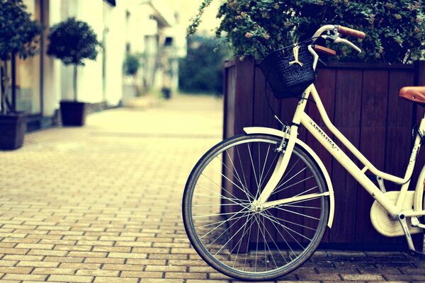 Eine leere Straße. Ein Fahrrad, das neben einem Blumenbeet steht