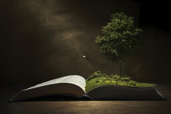 An open book on a black background. A growing tree on a green leaf