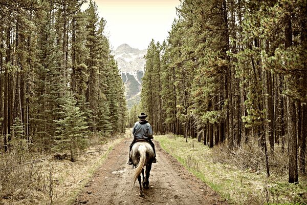 Ein Reiter auf der Straße fährt durch den Wald in die Berge