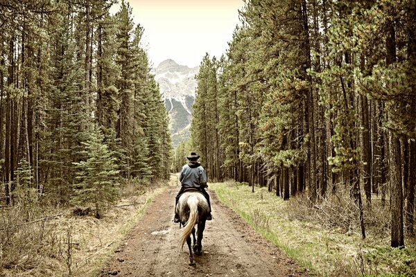 A rider on the road rides into the mountains through the forest