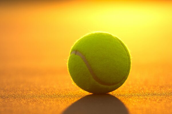 Balle de tennis au coucher du soleil