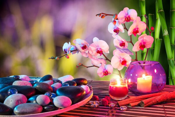Die Harmonie von Orchideen, Zimtstangen und Bambus
