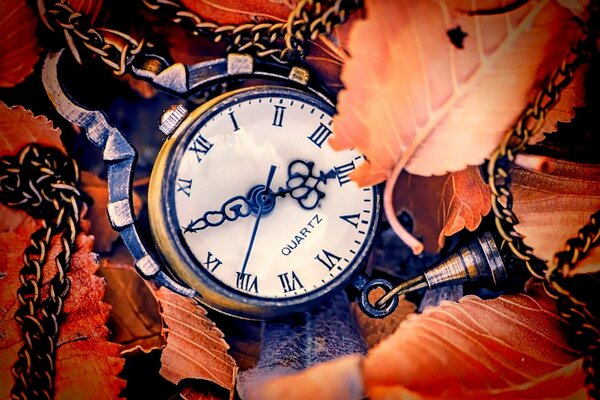 Quadrante dell orologio su sfondo di foglie d autunno