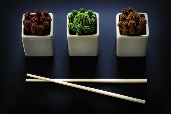 Succulents in white vases and chopsticks on the table