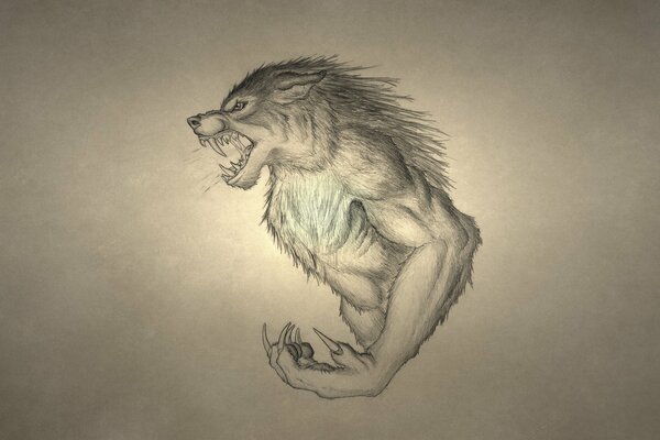 Drawing of a snarling werewolf with large fangs and claws