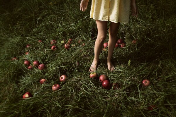 Fille pieds nus. Herbe et pommes sous vos pieds