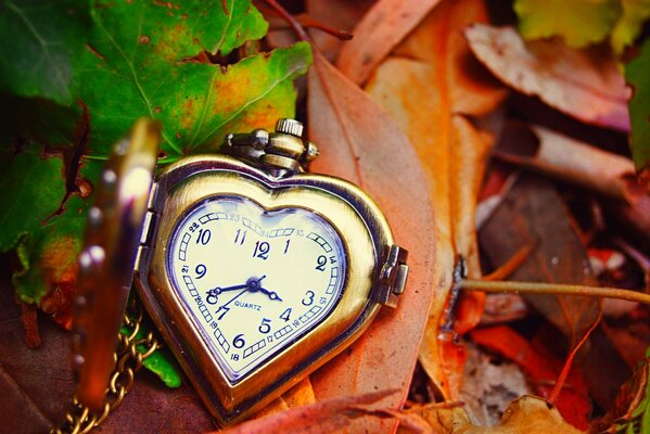 Esfera del reloj con fondo de hojas de otoño en forma de corazón