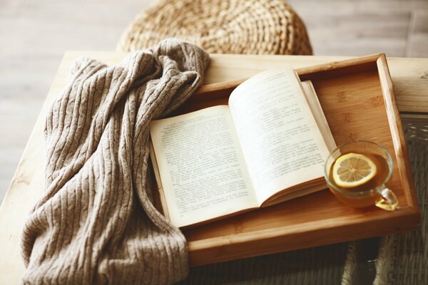 Livre qui hérisse à côté dans une tasse de thé