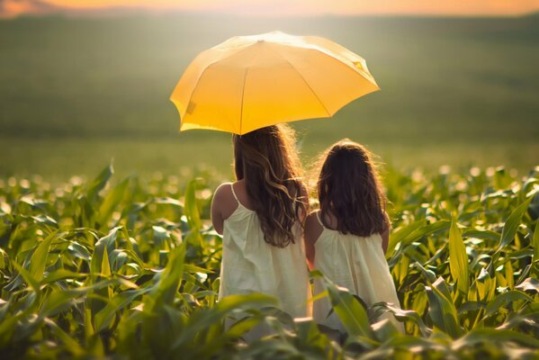 Mom and daughter under a yellow umbrella in corn